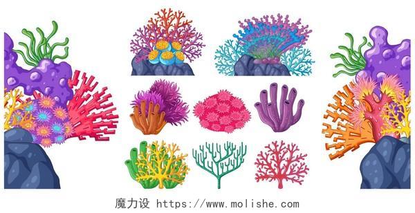 不同类型的珊瑚礁图